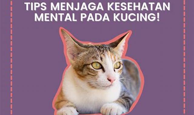 Menjaga Kesehatan Mental Kucing Angora